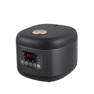 Digital Multifunction Rice Cooker