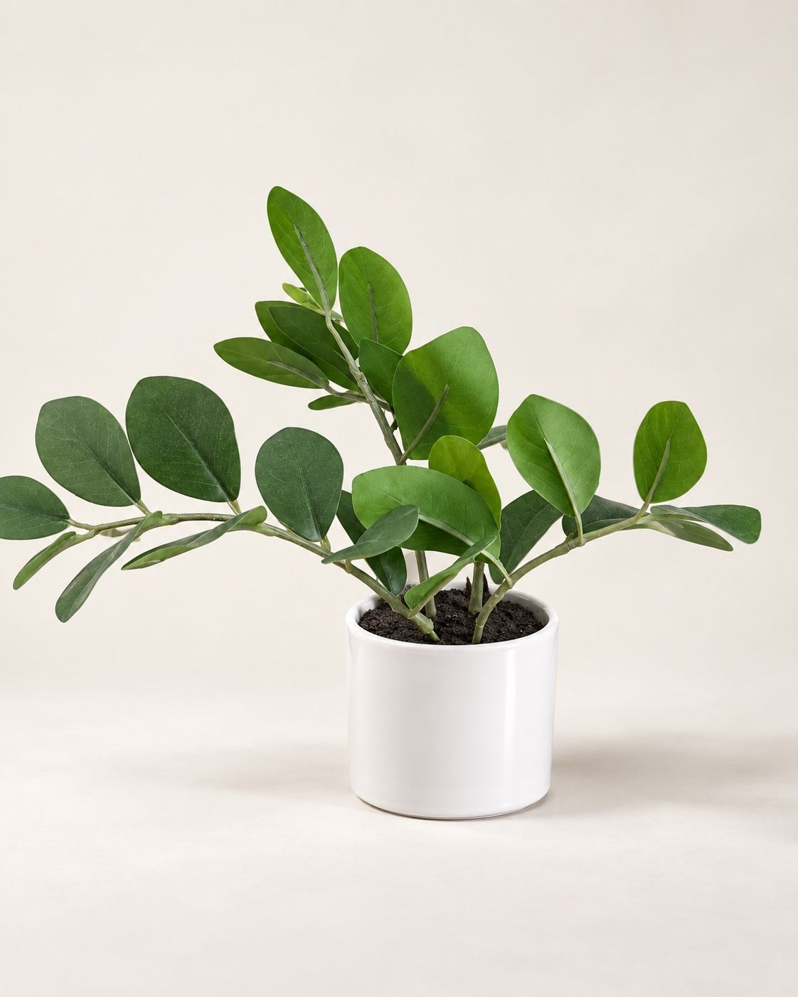 Threshold Artificial Greenery Tabletop Arrangement, photo 3