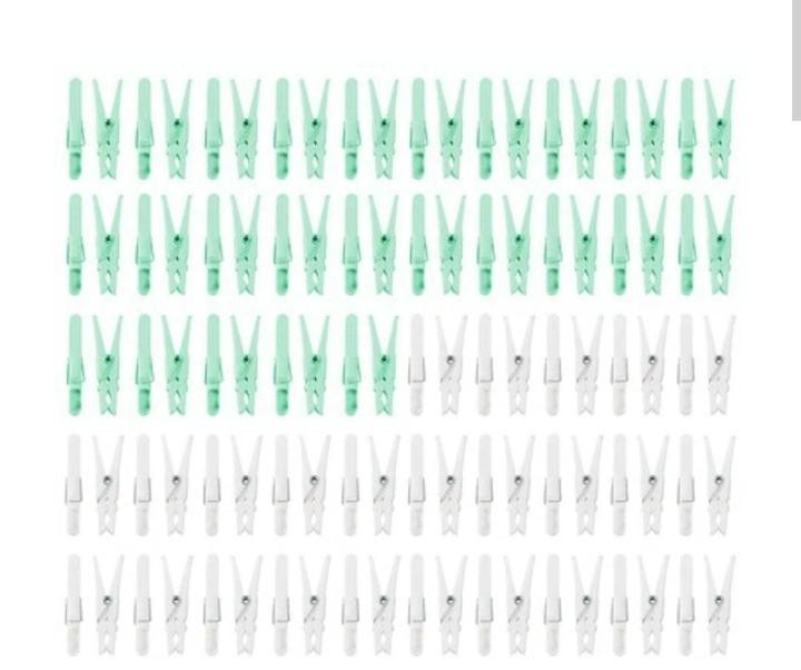 Clothespins, Clips, 100 pcs per laundry, white, turquoise